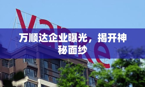 萬順達企業(yè)曝光，揭開神秘面紗