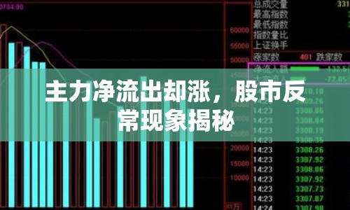 主力凈流出卻漲，股市反常現(xiàn)象揭秘