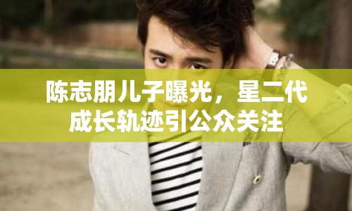 陳志朋兒子曝光，星二代成長軌跡引公眾關(guān)注