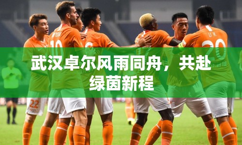 武漢卓爾風(fēng)雨同舟，共赴綠茵新程
