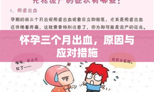 懷孕三個(gè)月出血，原因與應(yīng)對(duì)措施