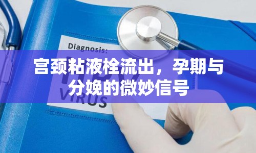 宮頸粘液栓流出，孕期與分娩的微妙信號(hào)