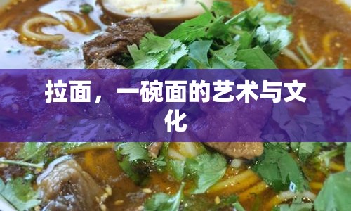 拉面，一碗面的藝術與文化