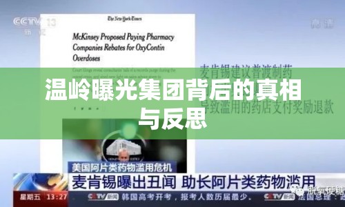 溫嶺曝光集團背后的真相與反思