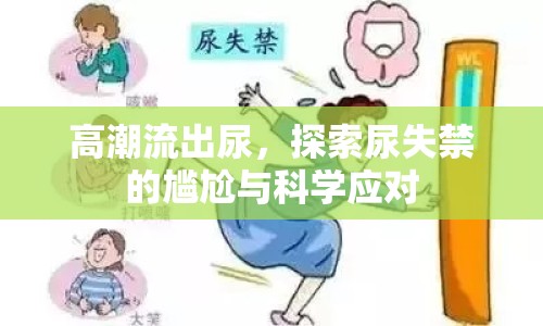 高潮流出尿，探索尿失禁的尷尬與科學(xué)應(yīng)對