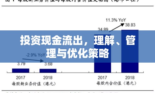 投資現(xiàn)金流出，理解、管理與優(yōu)化策略