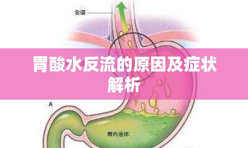 胃酸水反流的原因及癥狀解析