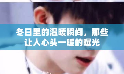 冬日里的溫暖瞬間，那些讓人心頭一暖的曝光