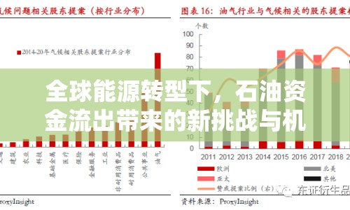 全球能源轉(zhuǎn)型下，石油資金流出帶來的新挑戰(zhàn)與機遇