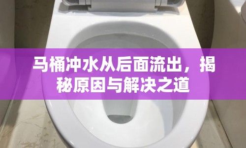 馬桶沖水從后面流出，揭秘原因與解決之道