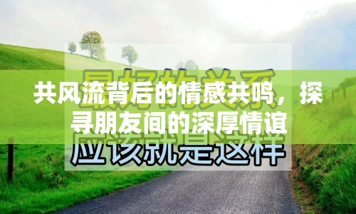 共風(fēng)流背后的情感共鳴，探尋朋友間的深厚情誼