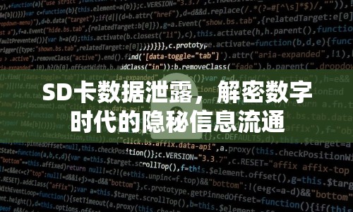 SD卡數(shù)據(jù)泄露，解密數(shù)字時代的隱秘信息流通