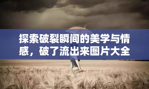 探索破裂瞬間的美學與情感，破了流出來圖片大全