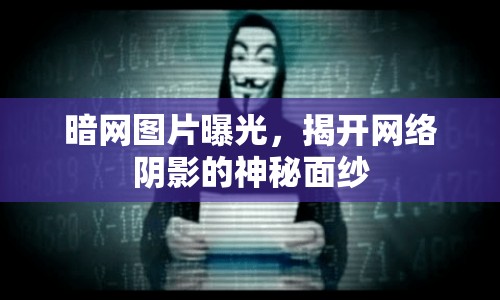 暗網(wǎng)圖片曝光，揭開(kāi)網(wǎng)絡(luò)陰影的神秘面紗