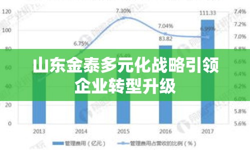 山東金泰多元化戰(zhàn)略引領(lǐng)企業(yè)轉(zhuǎn)型升級