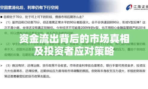 資金流出背后的市場真相及投資者應(yīng)對策略