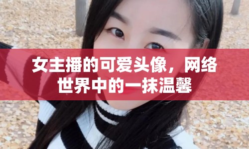 女主播的可愛頭像，網(wǎng)絡(luò)世界中的一抹溫馨