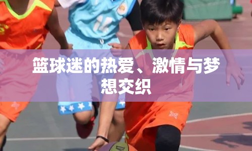籃球迷的熱愛(ài)、激情與夢(mèng)想交織