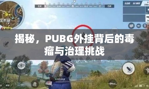 揭秘，PUBG外掛背后的毒瘤與治理挑戰(zhàn)