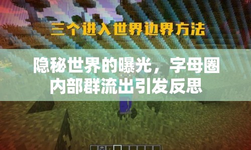 隱秘世界的曝光，字母圈內(nèi)部群流出引發(fā)反思