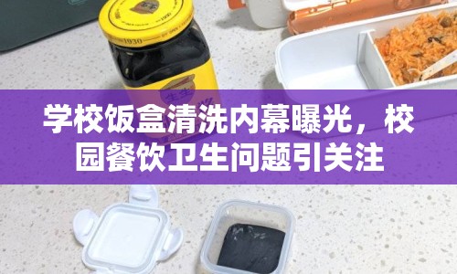 學(xué)校飯盒清洗內(nèi)幕曝光，校園餐飲衛(wèi)生問(wèn)題引關(guān)注