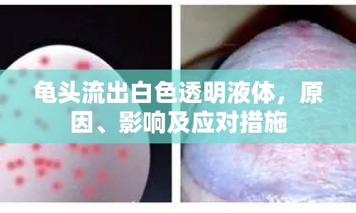 龜頭流出白色透明液體，原因、影響及應(yīng)對(duì)措施