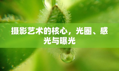攝影藝術(shù)的核心，光圈、感光與曝光