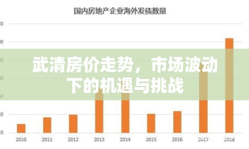 武清房價走勢，市場波動下的機(jī)遇與挑戰(zhàn)