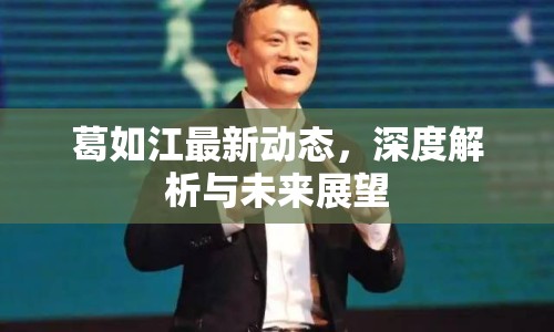 葛如江最新動態(tài)，深度解析與未來展望