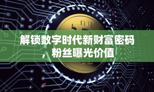 解鎖數(shù)字時(shí)代新財(cái)富密碼，粉絲曝光價(jià)值