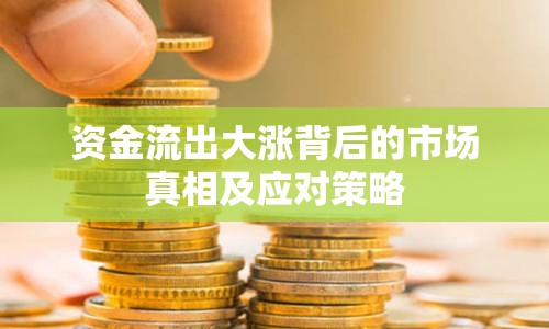 資金流出大漲背后的市場(chǎng)真相及應(yīng)對(duì)策略