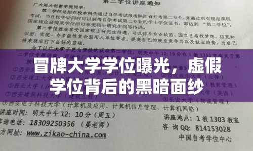 冒牌大學(xué)學(xué)位曝光，虛假學(xué)位背后的黑暗面紗