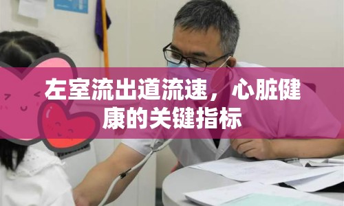 左室流出道流速，心臟健康的關(guān)鍵指標(biāo)