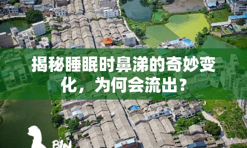 揭秘睡眠時鼻涕的奇妙變化，為何會流出？