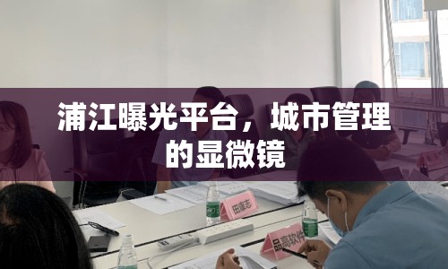 浦江曝光平臺，城市管理的顯微鏡