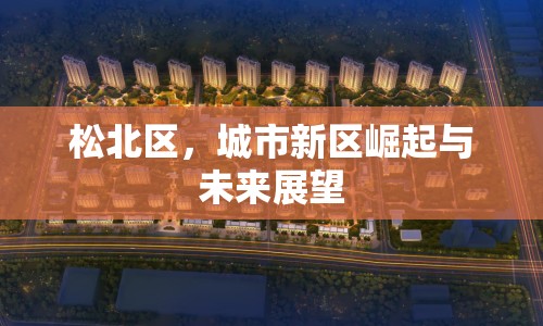 松北區(qū)，城市新區(qū)崛起與未來展望