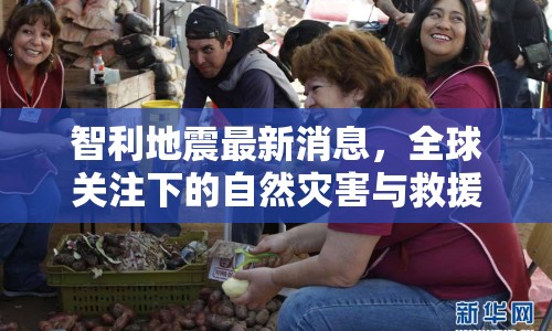 智利地震最新消息，全球關(guān)注下的自然災(zāi)害與救援行動(dòng)