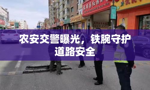 農(nóng)安交警曝光，鐵腕守護(hù)道路安全