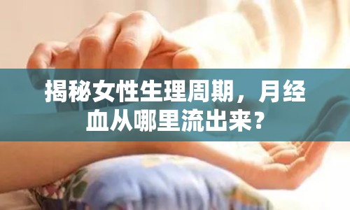 揭秘女性生理周期，月經(jīng)血從哪里流出來？