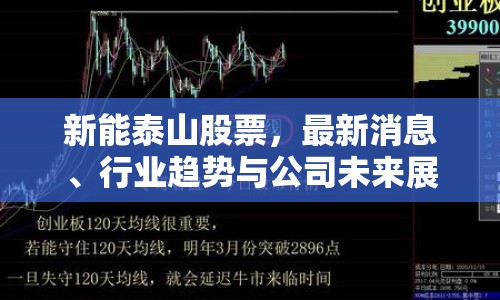 新能泰山股票，最新消息、行業(yè)趨勢(shì)與公司未來展望