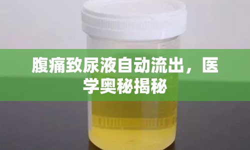腹痛致尿液自動(dòng)流出，醫(yī)學(xué)奧秘揭秘