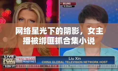 網(wǎng)絡(luò)星光下的陰影，女主播被綁匪抓合集小說