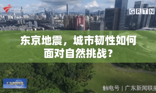 東京地震，城市韌性如何面對自然挑戰(zhàn)？
