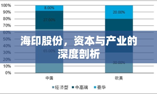 海印股份，資本與產(chǎn)業(yè)的深度剖析