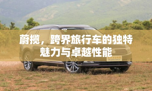 蔚攬，跨界旅行車的獨(dú)特魅力與卓越性能