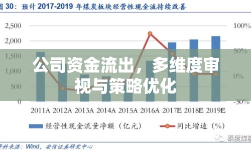 公司資金流出，多維度審視與策略優(yōu)化