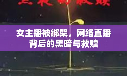 女主播被綁架，網絡直播背后的黑暗與救贖