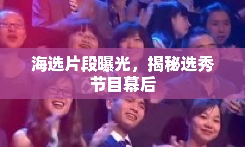 海選片段曝光，揭秘選秀節(jié)目幕后