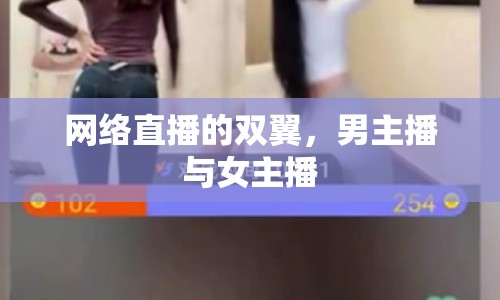 網(wǎng)絡(luò)直播的雙翼，男主播與女主播