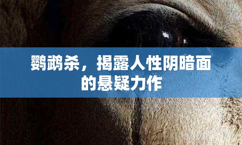 鸚鵡殺，揭露人性陰暗面的懸疑力作